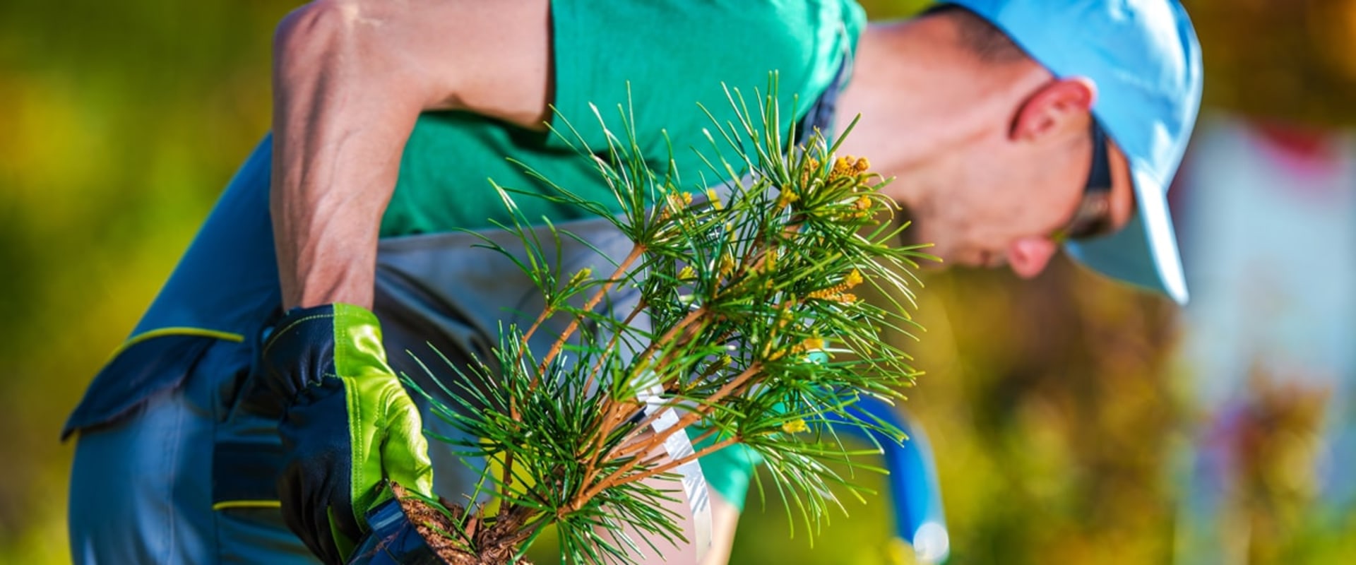 What's the difference between a landscaper and a gardener?