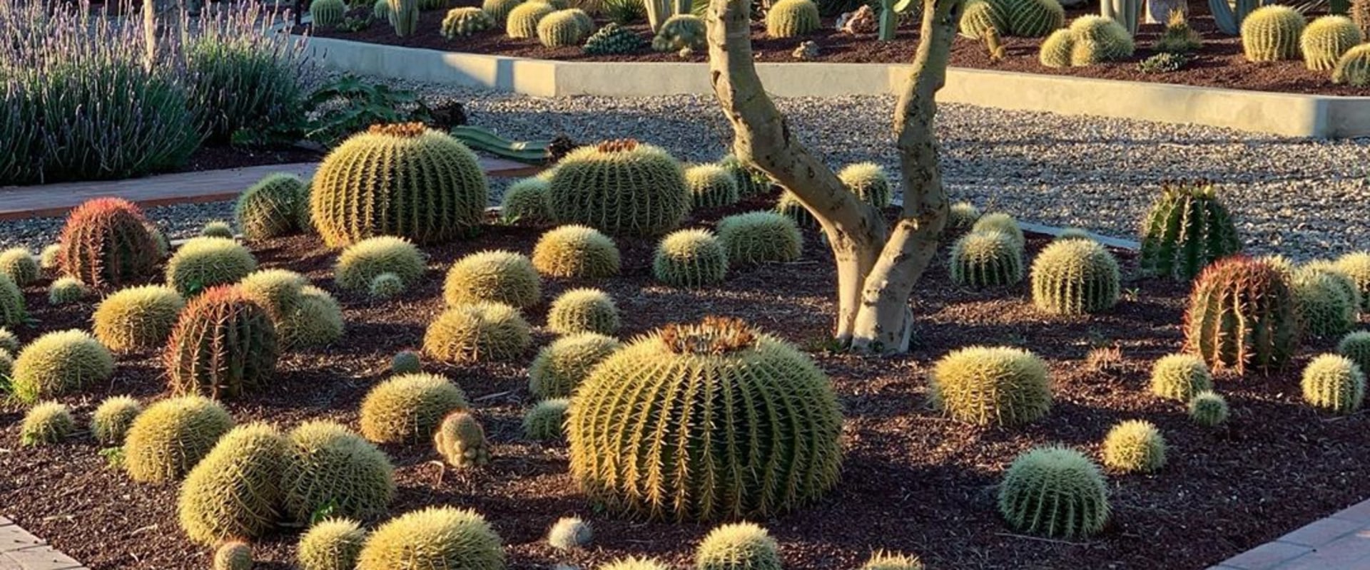 Front Yard Landscaping Ideas To Raise Home Value In Baltimore