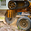 Enhance Your Curb Appeal: Tree Stump Grinding For Your Front Yard Landscape In Groveland