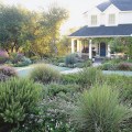 Landscaping front yard without grass?