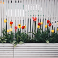Creating Privacy And Security: The Importance Of Fencing Services In Christchurch's Front Yard Landscaping