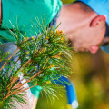 What's the difference between a landscaper and a gardener?