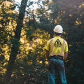 Creating A Beautiful Outdoor Space: Combining Tree Removal Service And Front Yard Landscaping In Martinsburg, WV