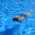 From Front Yard Landscaping to Backyard Luxury: Custom Pool Installation in Heath, TX
