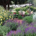 Do landscape designers use autocad?
