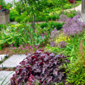 How do you landscape a front yard on a budget?