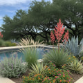How A Pool Contractor In Pleasanton Can Enhance Your Front Yard Landscaping?