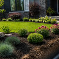 Transform Your Front Yard: Landscaping Tips & Sewer Solutions