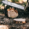 Protect Your Virginia Beach Home with Emergency Tree Removal