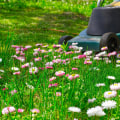 Sprucing Up Kingsbury: Expert Lawn Treatment For Front Yard Landscaping