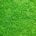 Everything You Need To Know About Artificial Turf For Your Front Yard Landscaping In Scottsdale
