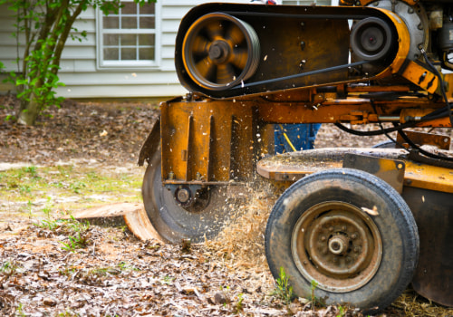 Enhance Your Curb Appeal: Tree Stump Grinding For Your Front Yard Landscape In Groveland
