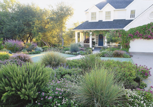 Landscaping front yard without grass?