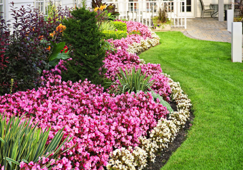 From Plain to Picturesque: Creative Ideas for Stunning Front Yard Landscaping