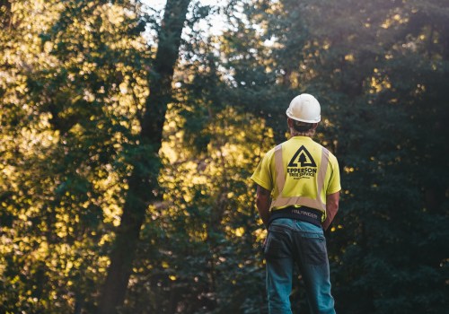 Creating A Beautiful Outdoor Space: Combining Tree Removal Service And Front Yard Landscaping In Martinsburg, WV