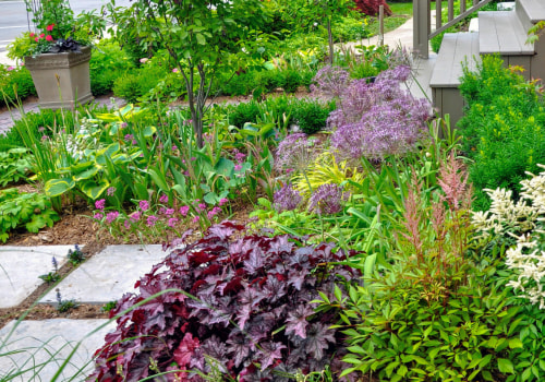 How do you landscape a front yard on a budget?