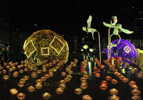 Enhance Your Curb Appeal: How Professional Landscape Lighting Installers In Northern Virginia Can Help Transform Your Front Yard Landscaping