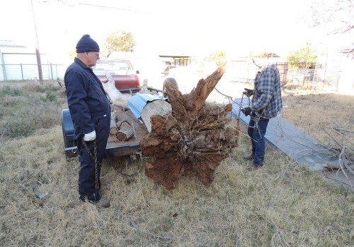 How Tree Service Helps When Doing Front Yard Landscaping In Your Home In Laurel Mississippi