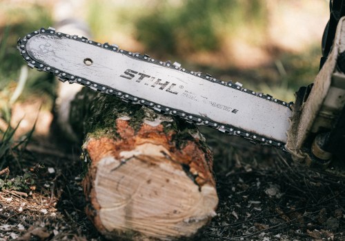 Protect Your Virginia Beach Home with Emergency Tree Removal