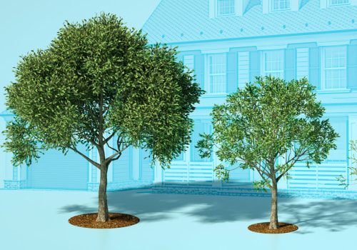 What plants increase home value?