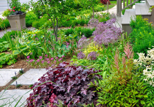 How do you landscape a tight budget?