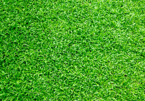 Everything You Need To Know About Artificial Turf For Your Front Yard Landscaping In Scottsdale